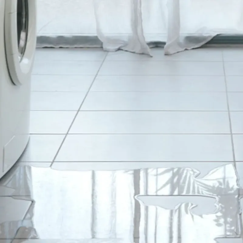 Appliance Leak Cleanup in Eureka, CA