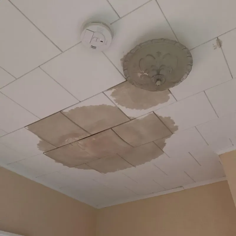 Ceiling Water Damage Repair in Eureka, CA