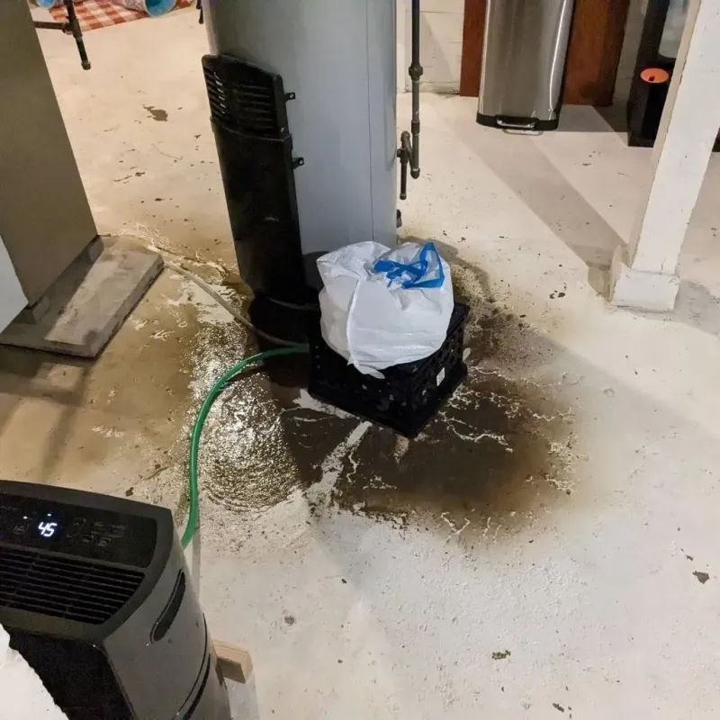 Sewage Backup Cleanup Service in Eureka, CA